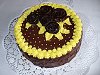 thn_dorty_046.jpg