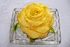 thn_dorty_059.jpg